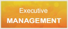 Executive management